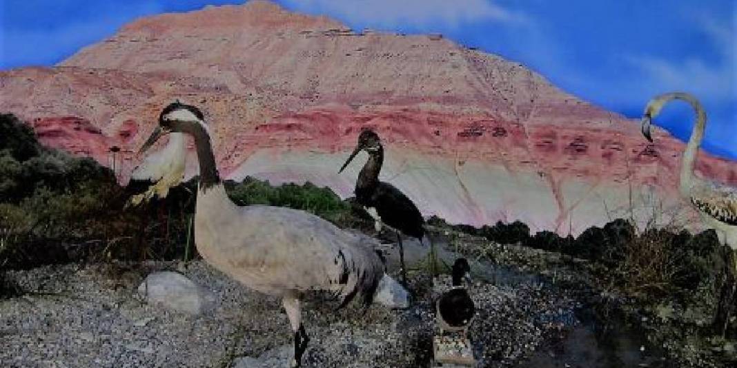 Bırakın Ankara'yı dünyada  böyle bir yer olduğuna inanamayacaksınız! Burası gerçek bir cennet ve Ankara'da... 3